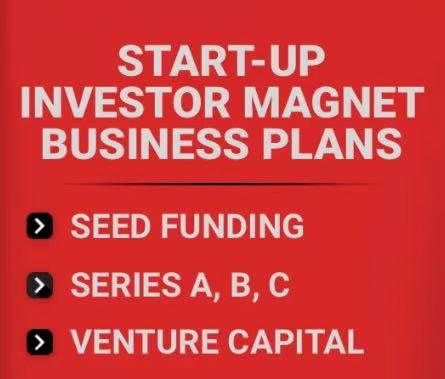 Write investor Business Plans